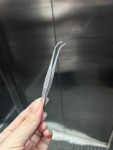太搞笑了，在年末贪了个实验室的镊子，忘放到实验室了，再次还回来，只能是明年了