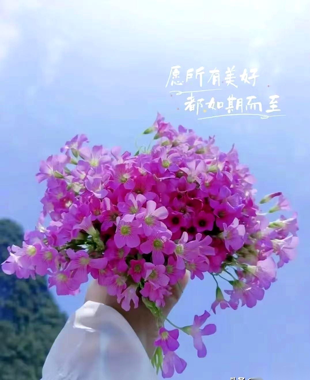 领导喊话让大数据精准比对找人动员参保。
交灵活就业社保一个月要上千元，一年算下来就是上万元。
亲戚因为工作没着落收入太紧张，几十年后的养老金眼下只能继续欠着不交。
那天我拿着国家鼓励参保的消息去劝他，本以为是替他着想，结果当场被他怼了回来。
话说得直白，也扎心。
在现在这个数据时代，真想找人，把名单