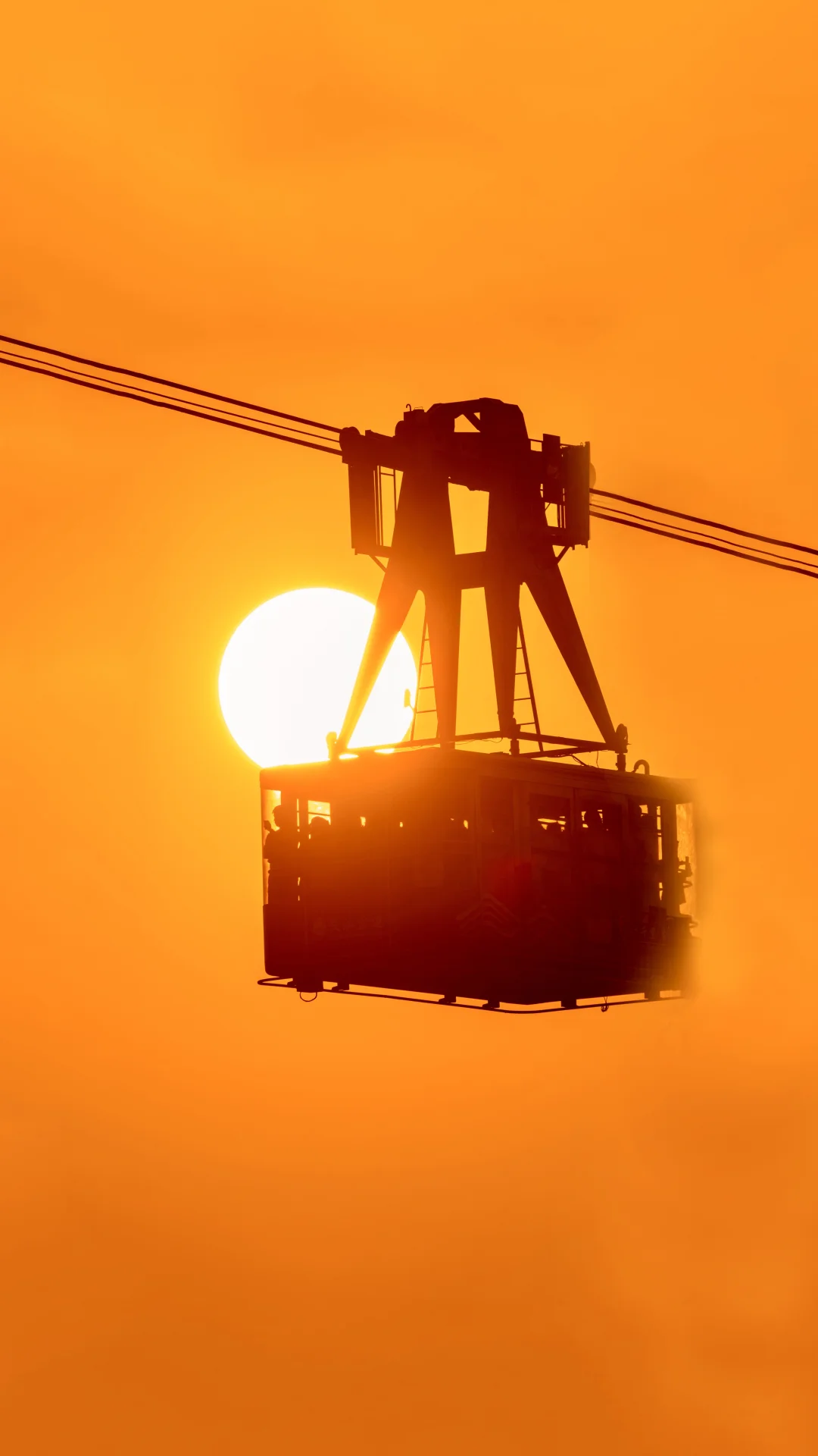 等了一年，我终于拍到了这个画面📷