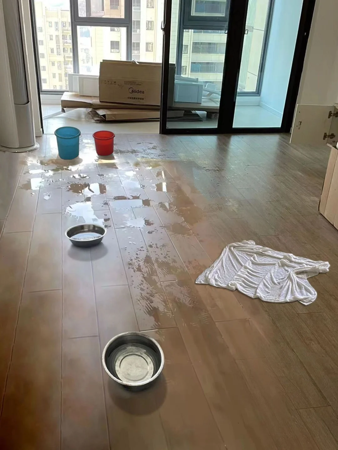 妈耶！好像get到了0成本除甲醛的快乐！