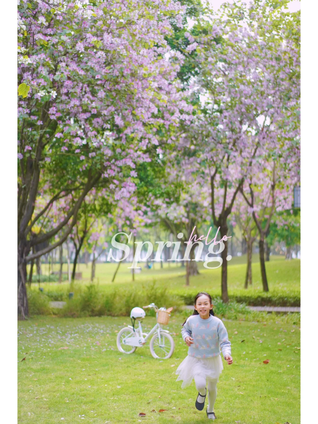 骑车去春游 |不紧不慢感受春日粉色浪漫🌸