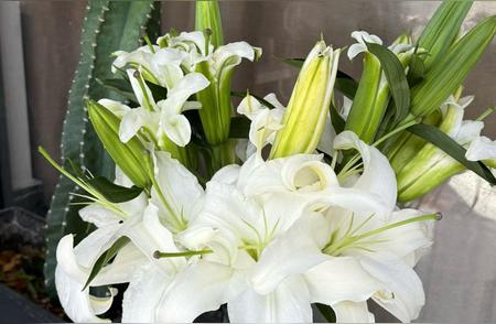 很多人都觉得分手后复合才能重拾幸福，其实都错了！  复合后的感情，往往...