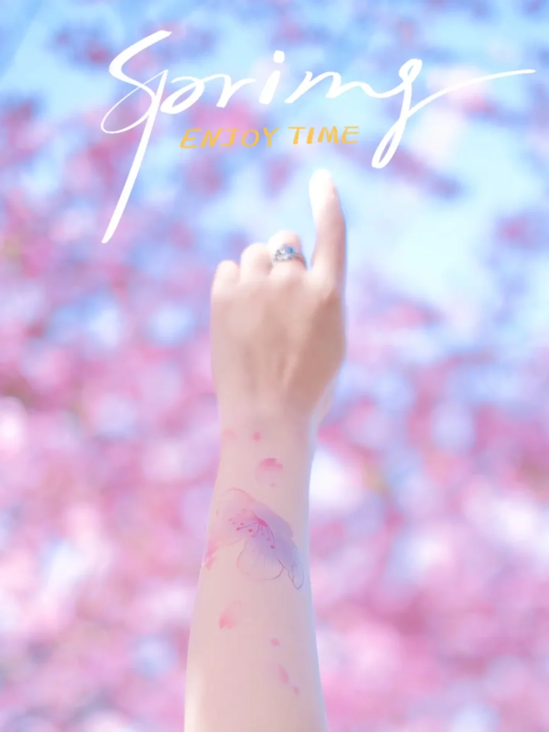 江南被低估的赏樱宝地｜盐城大洋湾