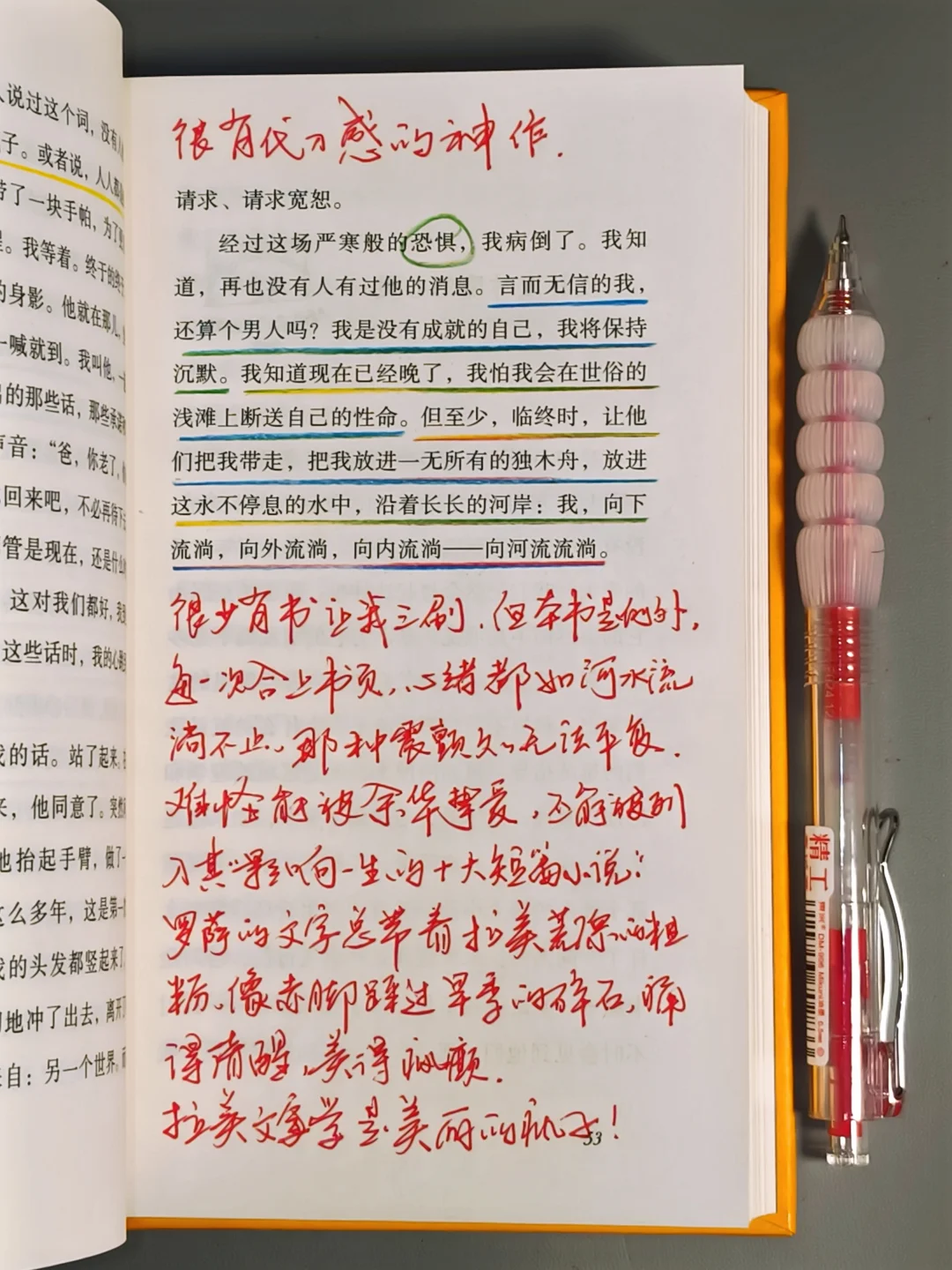 我今年读过最惊艳的书！想安利一万遍！！