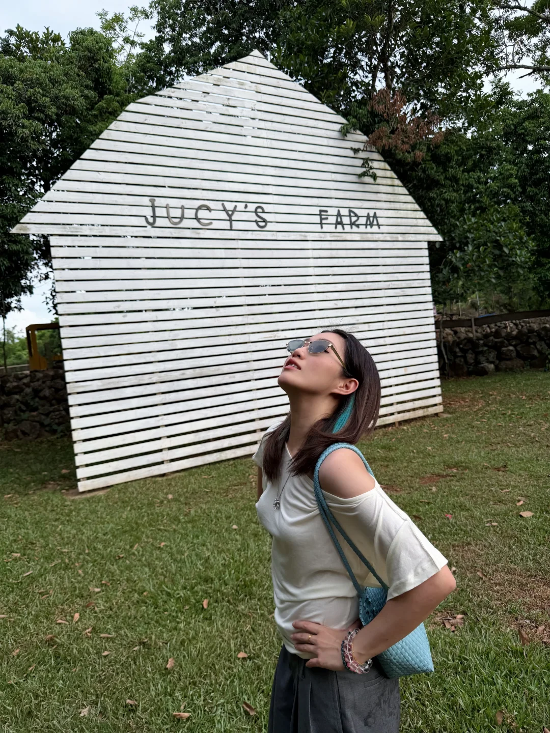 小时候做梦都想住这种树屋