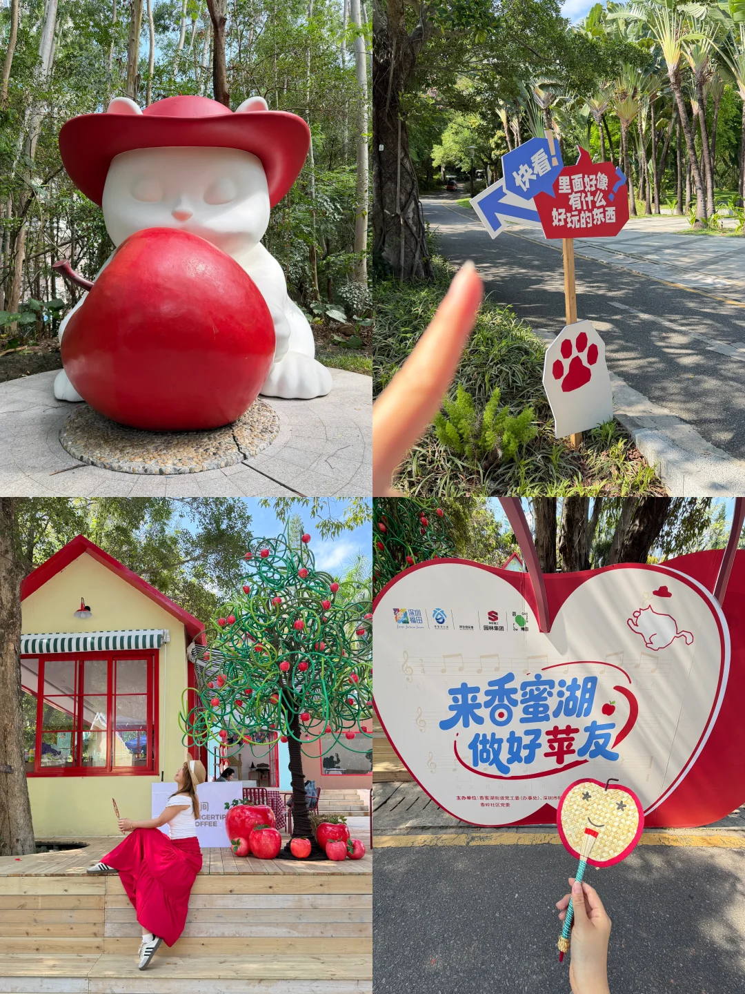 深圳新的！！来交个“苹”友吧！！🍎