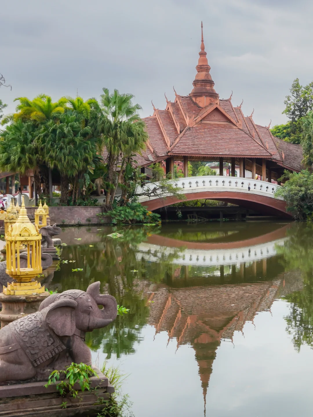 12月份的西双版纳后劲真的太大了！