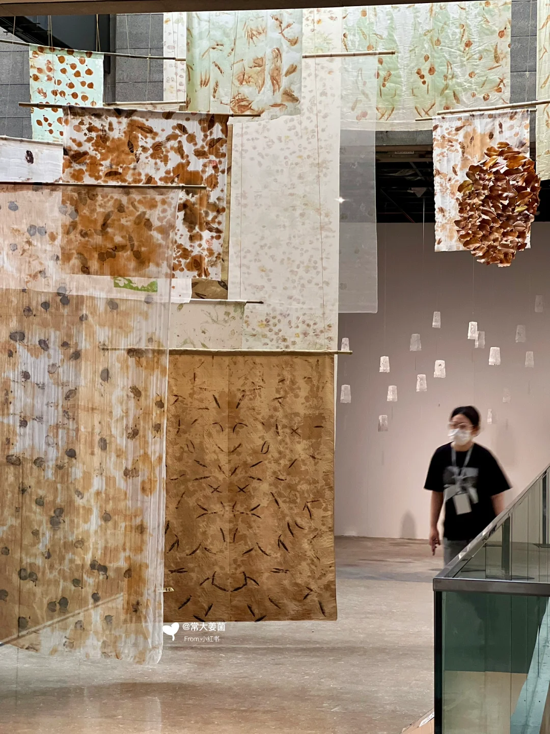 《森林挂幕》从浙江美术馆走向杭州植物园了！