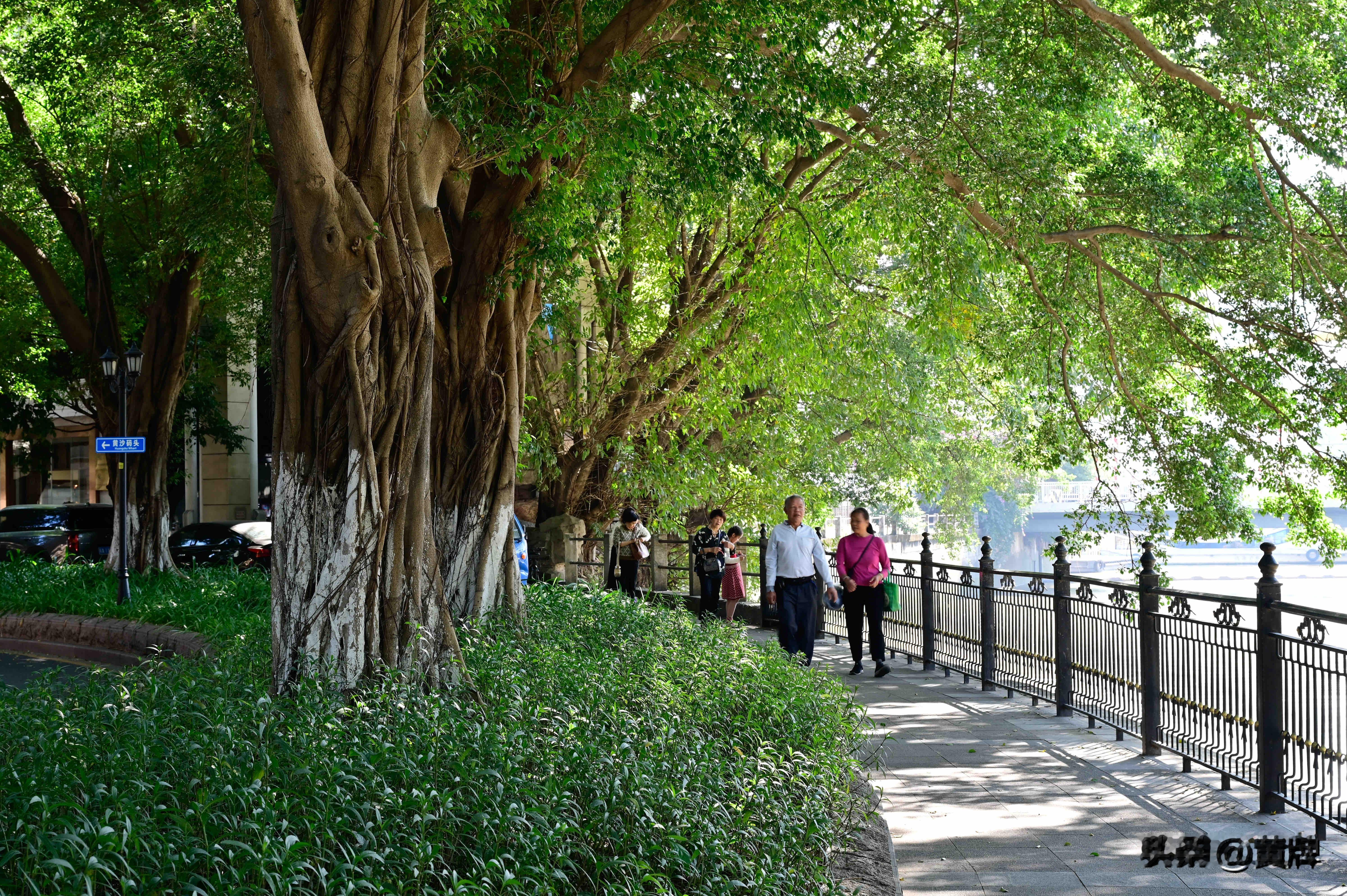 魅力广州（1）—沙面岛  广州沙面：历史与现代的交融之地 概况 沙面在...