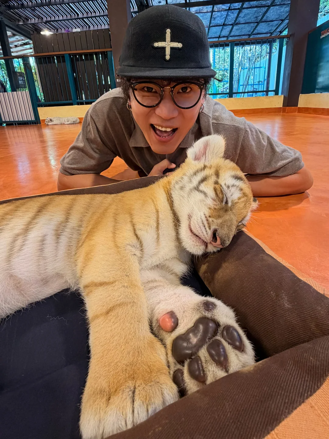 在清迈躺平的日常