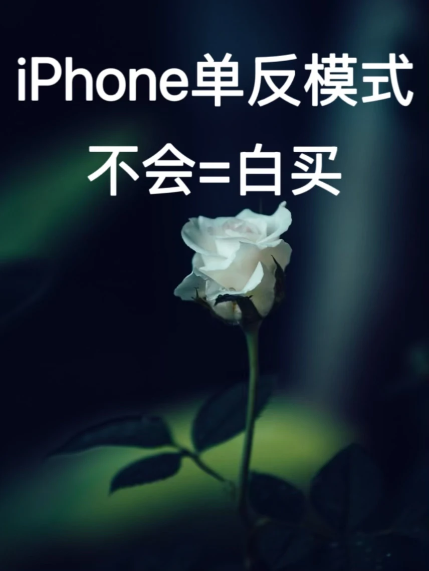 iPhone单反模式不会=白买，一分钟学会拍大片✅