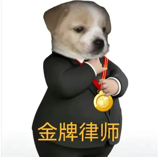 律师有水平，说的有理有据，必须要点赞！