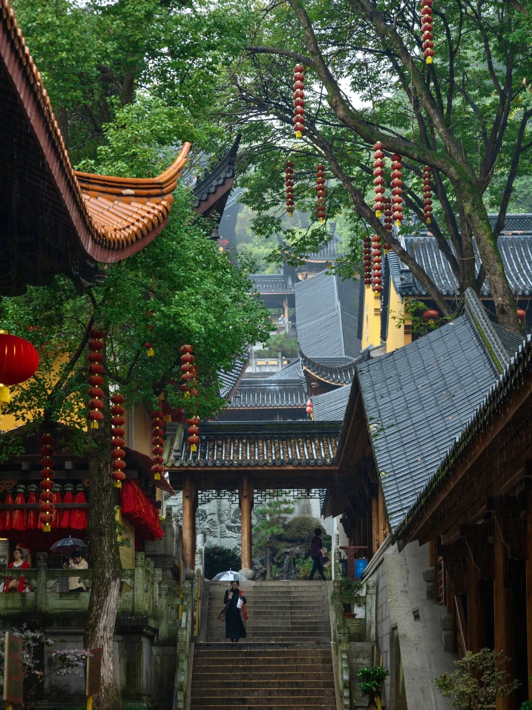 春节来杭州旅游，推荐这3条路线‼️赞爆朋友圈