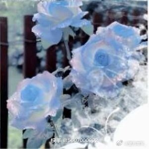 #刘宇廿六驭梦山河# 生日快乐 #刘宇0824生日快乐#
​