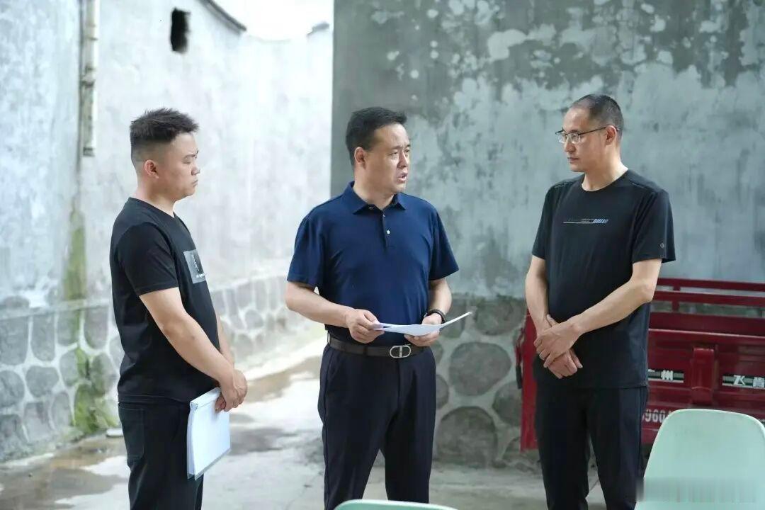 【张继龙在新寨、沙湾等乡镇检查指导防汛备汛、生态环保、常态化帮扶等工作...