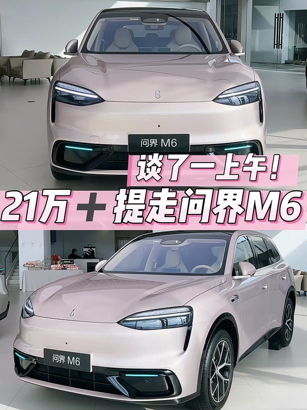 累了😭谈了一上午！问界M6 21W➕提走！提走！