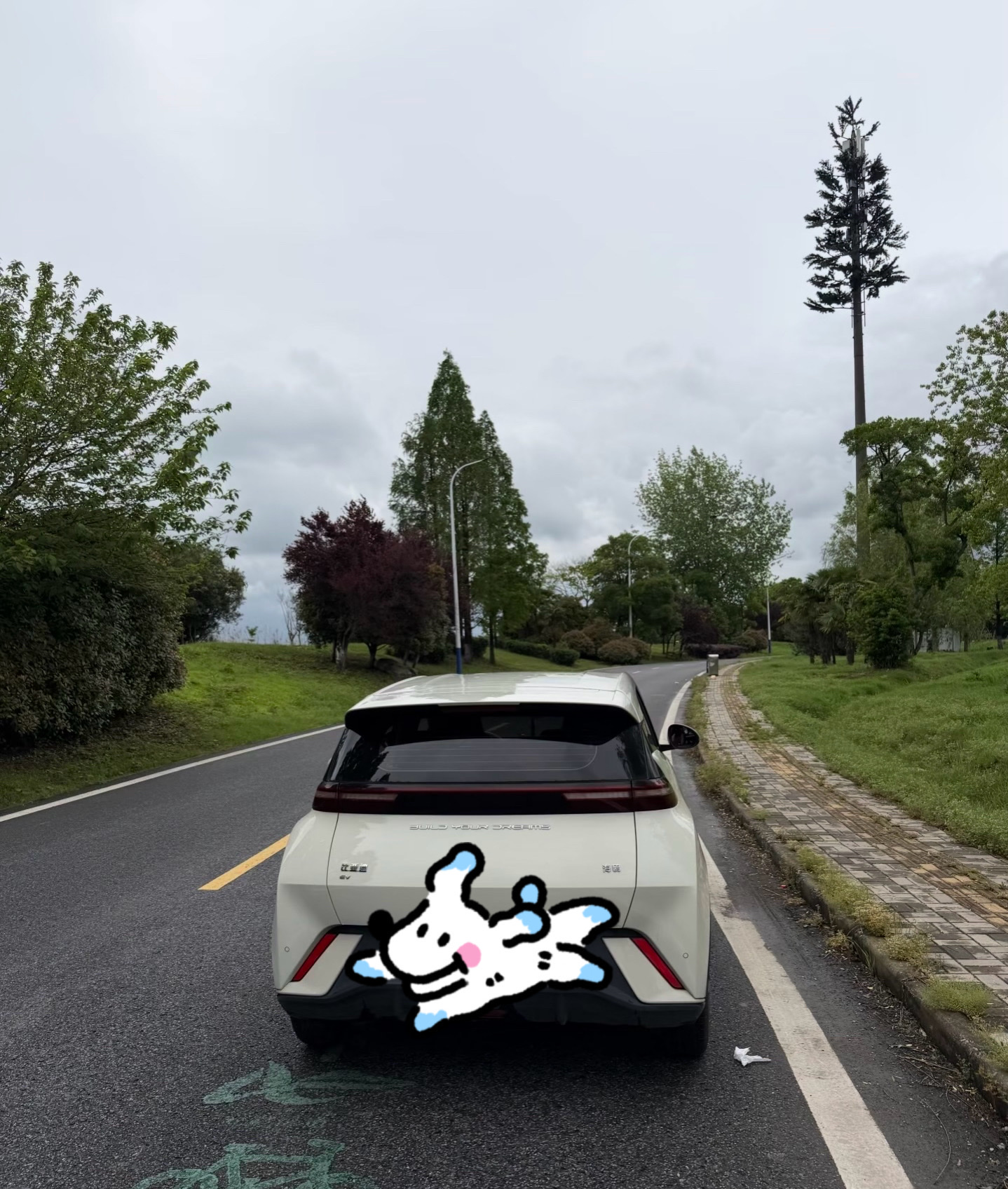买电车一年，掏心窝说说真实感受，这些坑买车前一定要想明白

 当初选海鸥，就是看中它车身小巧，城市接送孩子、日常买菜代步刚刚好。想着电车电费便宜，能省下一大笔油费，兴冲冲就入手了。开了整整一年，实话实说，电车确实有很多舒服的地方，但也踩了不少销售不会主动告诉你的现实坑。

第一个最直观的，别完全迷信