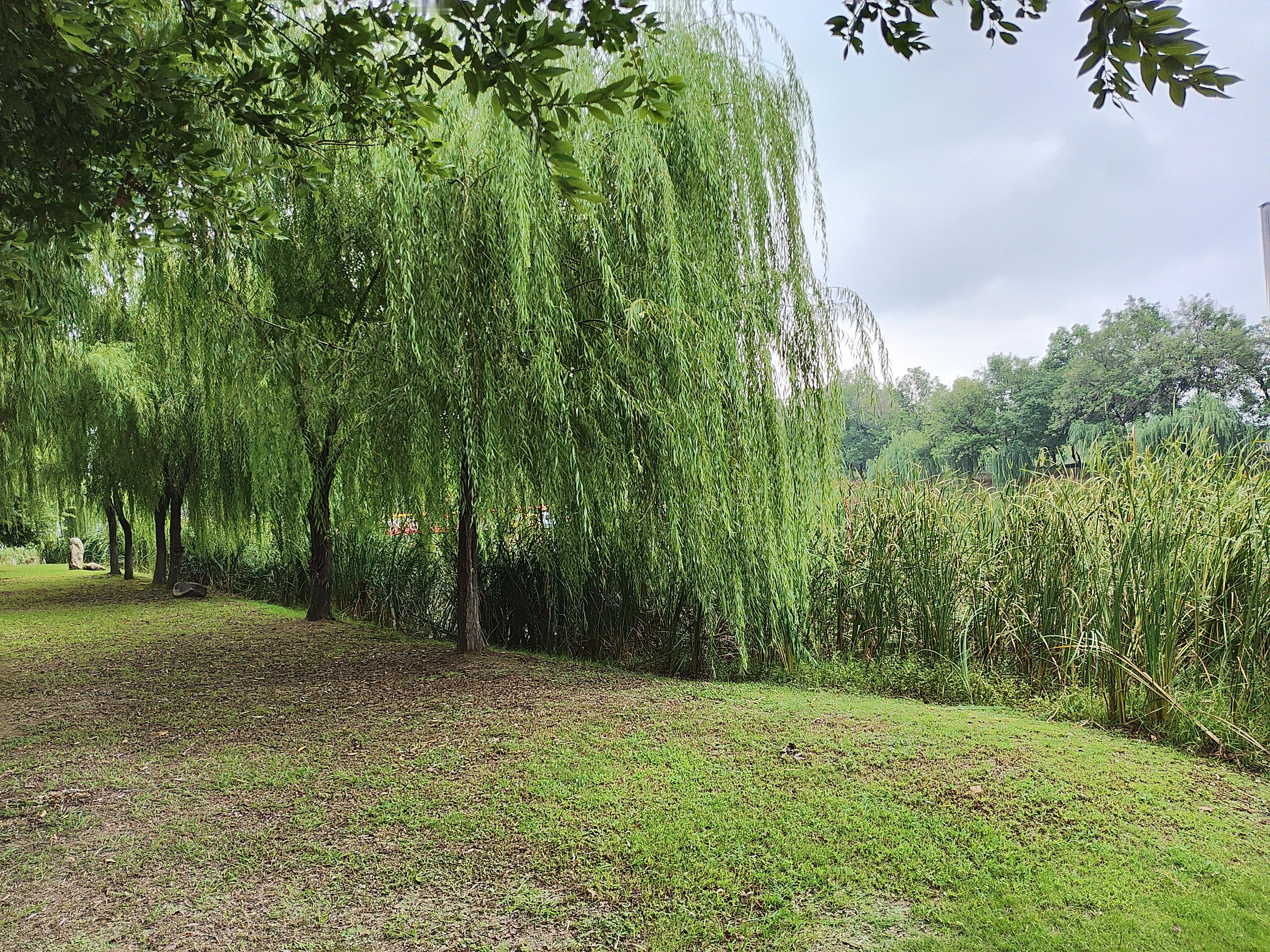 婚姻到底是由感情维系的，还是有其他的因素在起作用？这是一个深刻而复杂...