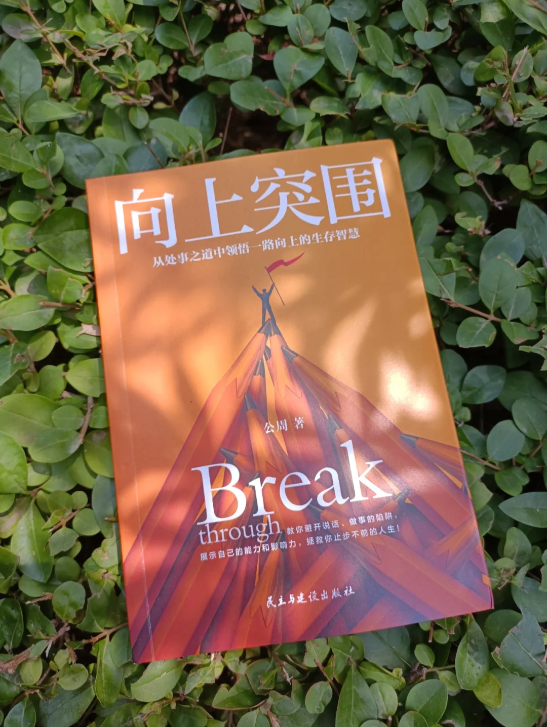 这本书，我建议你在熬夜的时候翻开