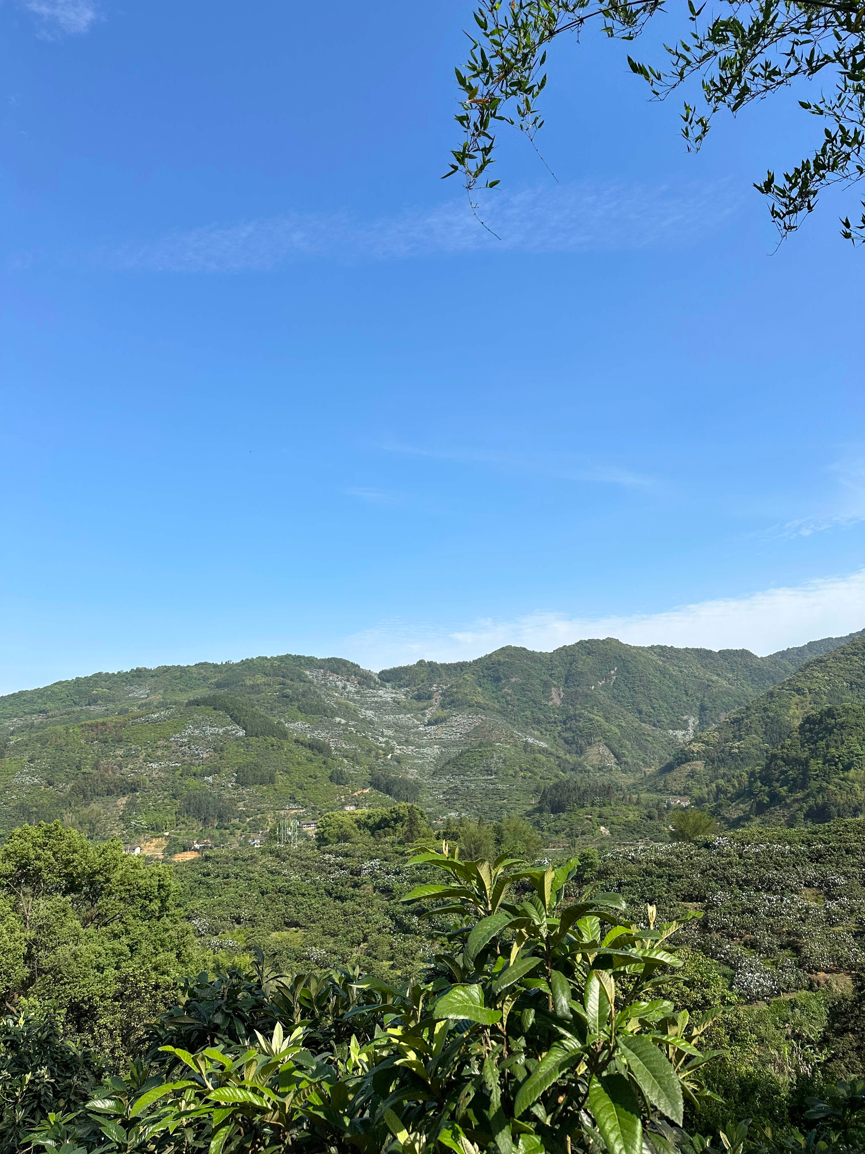 "白海豚"已在台州玉环登陆，接下来24小时浙江、上海、江苏、安徽都会有大暴雨。墨迹天气的AI雷达显示台风眼区已上岸，但外围螺旋雨带还在持续影响华东多个省份，明天工作日肯定消停不了。同时西太平洋上还有两个台风在活动，"三台共舞"使得下周天气变数很大。你们明天请不请假？不管请不请假，风里雨里平安是第一位的。白海豚提前登陆 台州玉环捅了台风窝 上海市要求及时果断停课停工 台风琵鹭来了 台风白海豚 墨迹天气 让未知 可先知 墨迹天气台风路线预测 杭州地铁 浙江暴雨 三台共舞 台风天到底该不该请假
