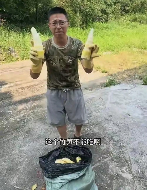 那辆运笋货车跟丢了，博主从肇庆一路跟到清远，跟了一整夜，最后在某个路口被甩掉了，车里装的是刚用硫磺熏过的鲜笋，检测值4860毫克每千克。

国标写得清清楚楚，鲜笋根本不允许用硫磺熏，干制竹笋限值也才0.2克每千克，这个数超了24倍。

清远市市场监督管理局9月18日通报，视频反映情况属实，违法加工原