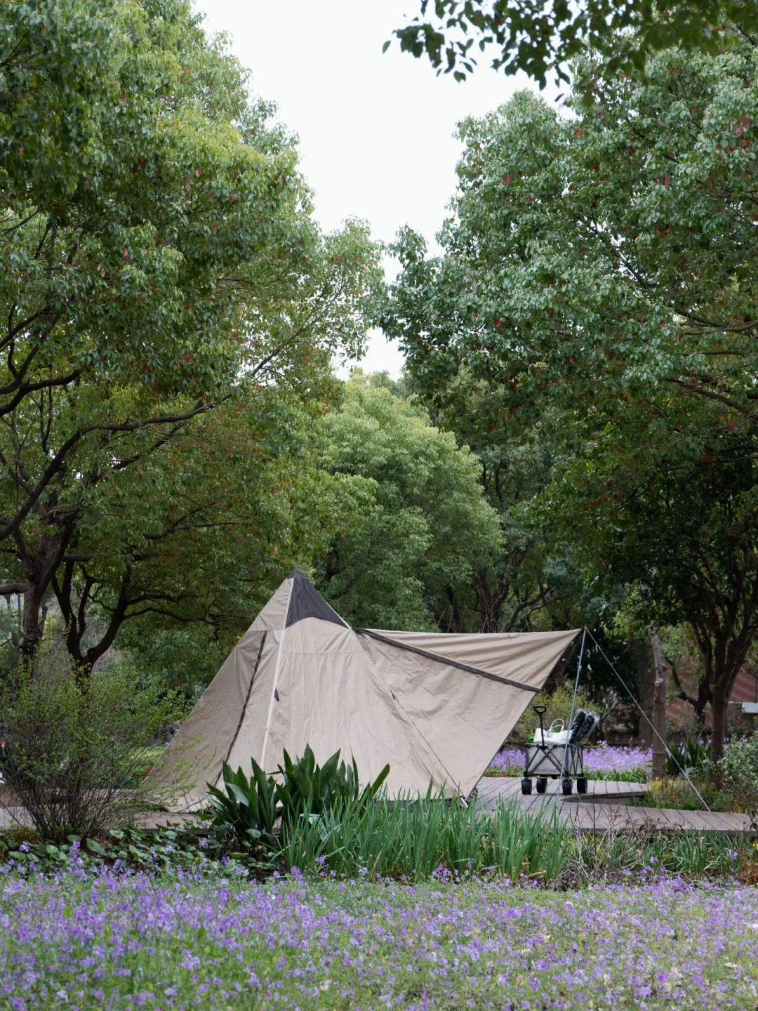 全部免费⛺️搜罗了上海最宝藏的6个露营地！