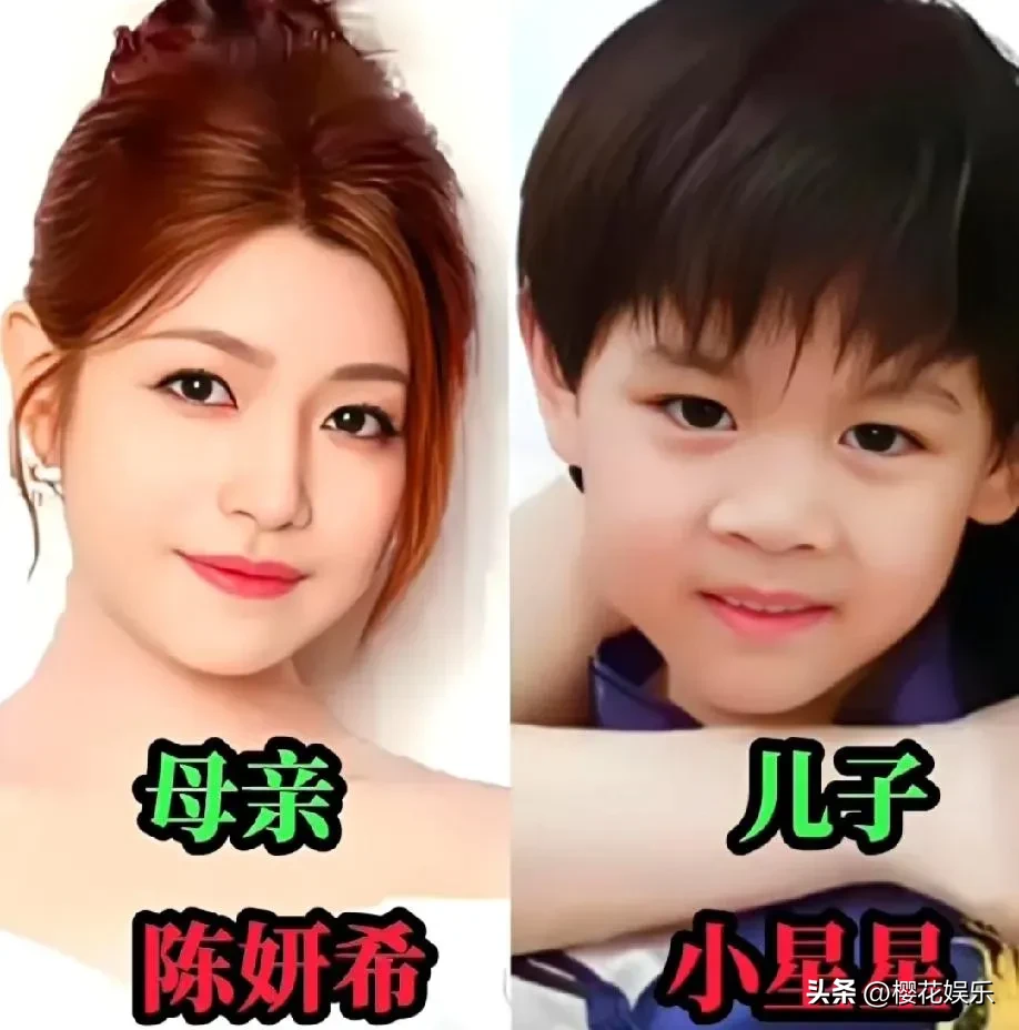 很多明星家的孩子，长相都很有看点。外形俊朗的陈妍希儿子，外形俊朗的颖儿女儿，外形俊朗的胡可儿子，外形俊朗的董洁儿子，外形俊朗的赵丽颖儿子，外形俊朗的高圆圆儿子。母亲的好相貌，直接复刻到孩子的五官上面。陈妍希长相甜美柔和，儿子高大阳光，浓眉大眼，小小少年模样格外讨喜。