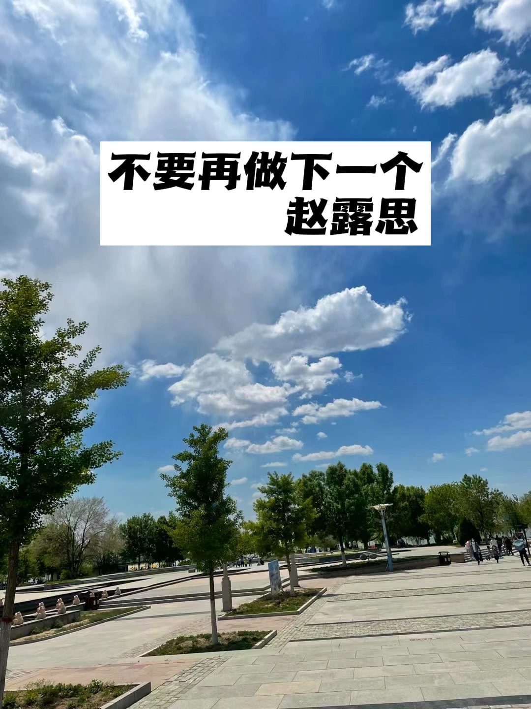 透过赵露思事件，谈气血.