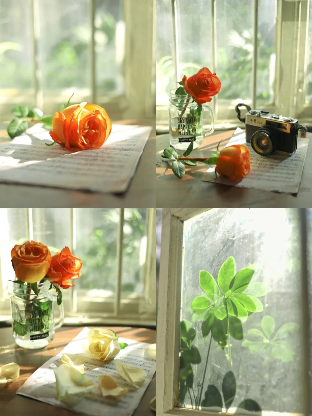 静物摄影/破旧楼梯间拍出法式电影感㊙️