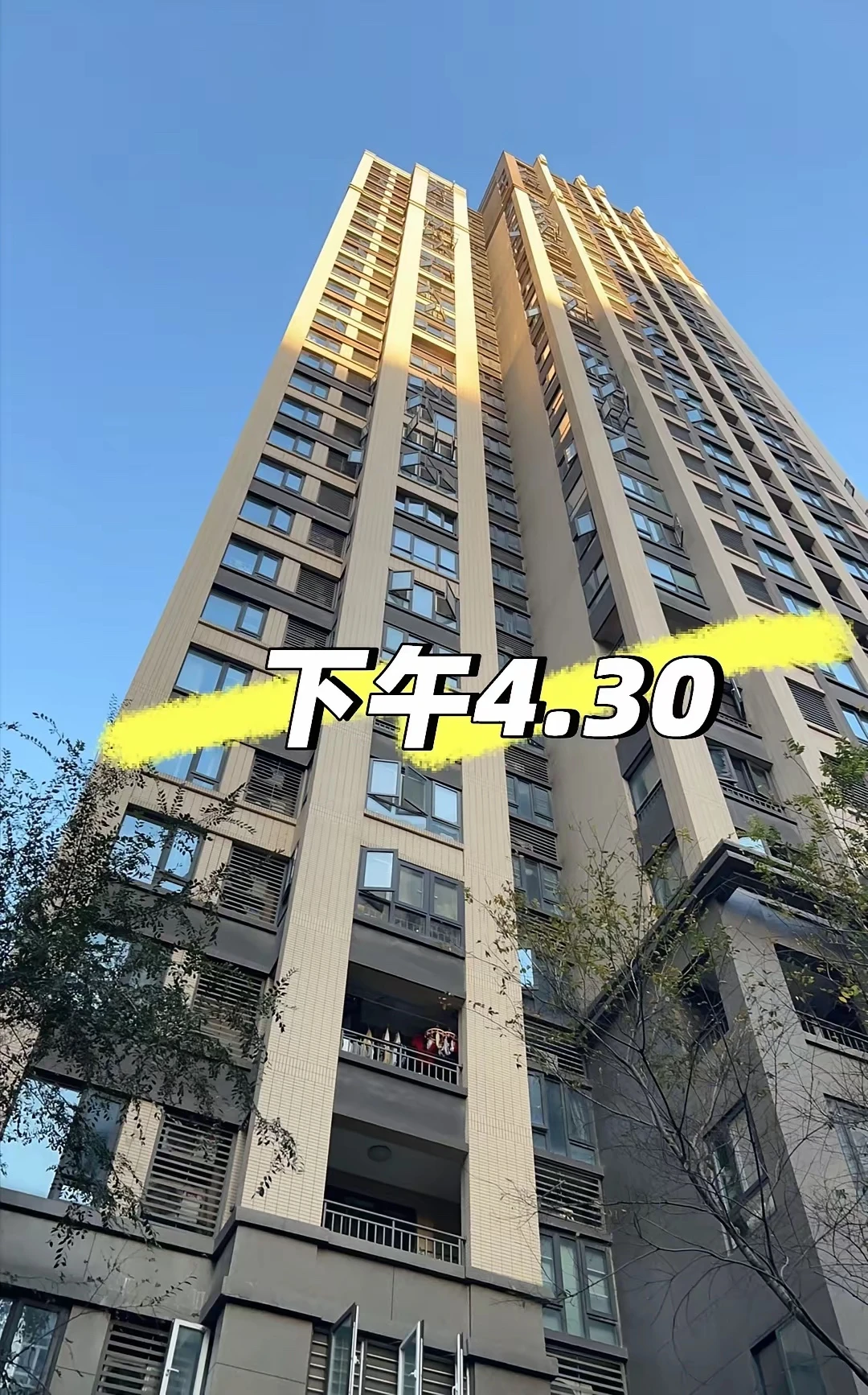 救命🆘！17楼全天晒不到太阳谁懂🌚