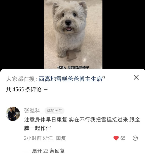 世界纷纷扰扰，张继科永远正能量永远有爱心
cr：雪糕长不高
	
#张继科 #祝福张继科的整个人生