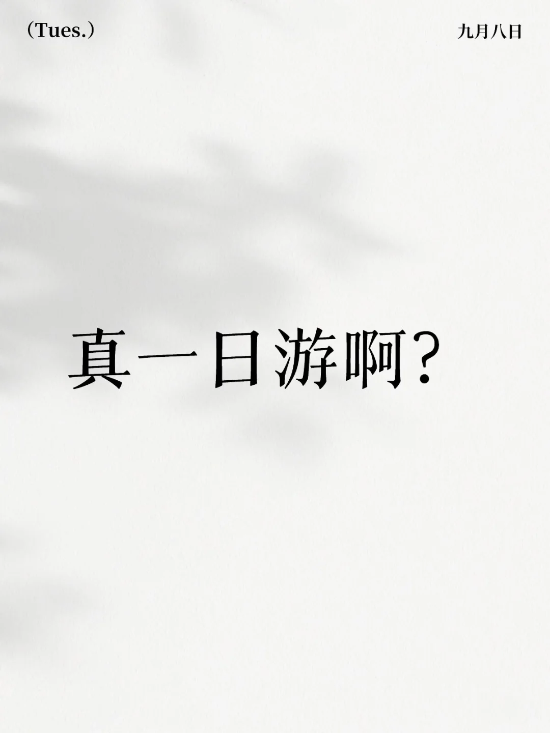 真一日游啊？