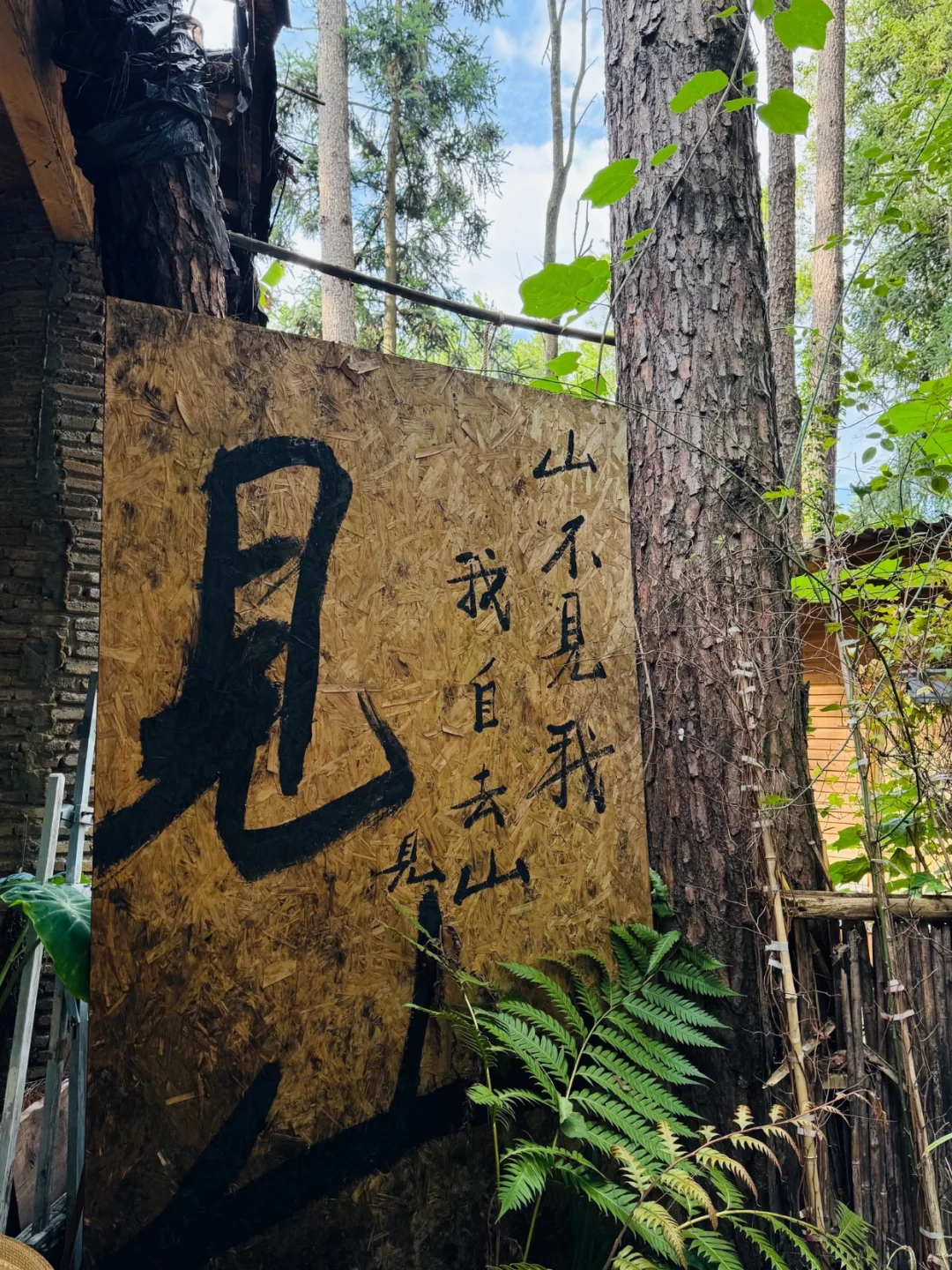 贵阳3日游！特种兵不绕路打卡16地