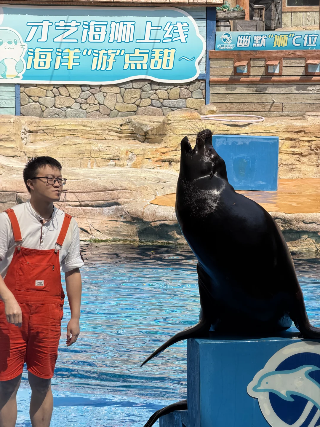 广州海洋公园这个海狮好贪吃hhh
