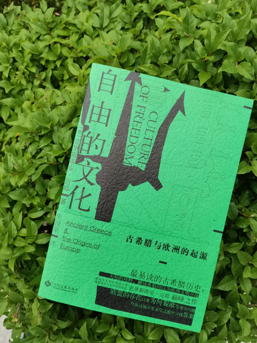 了解古希腊文明的“入门级”史书！