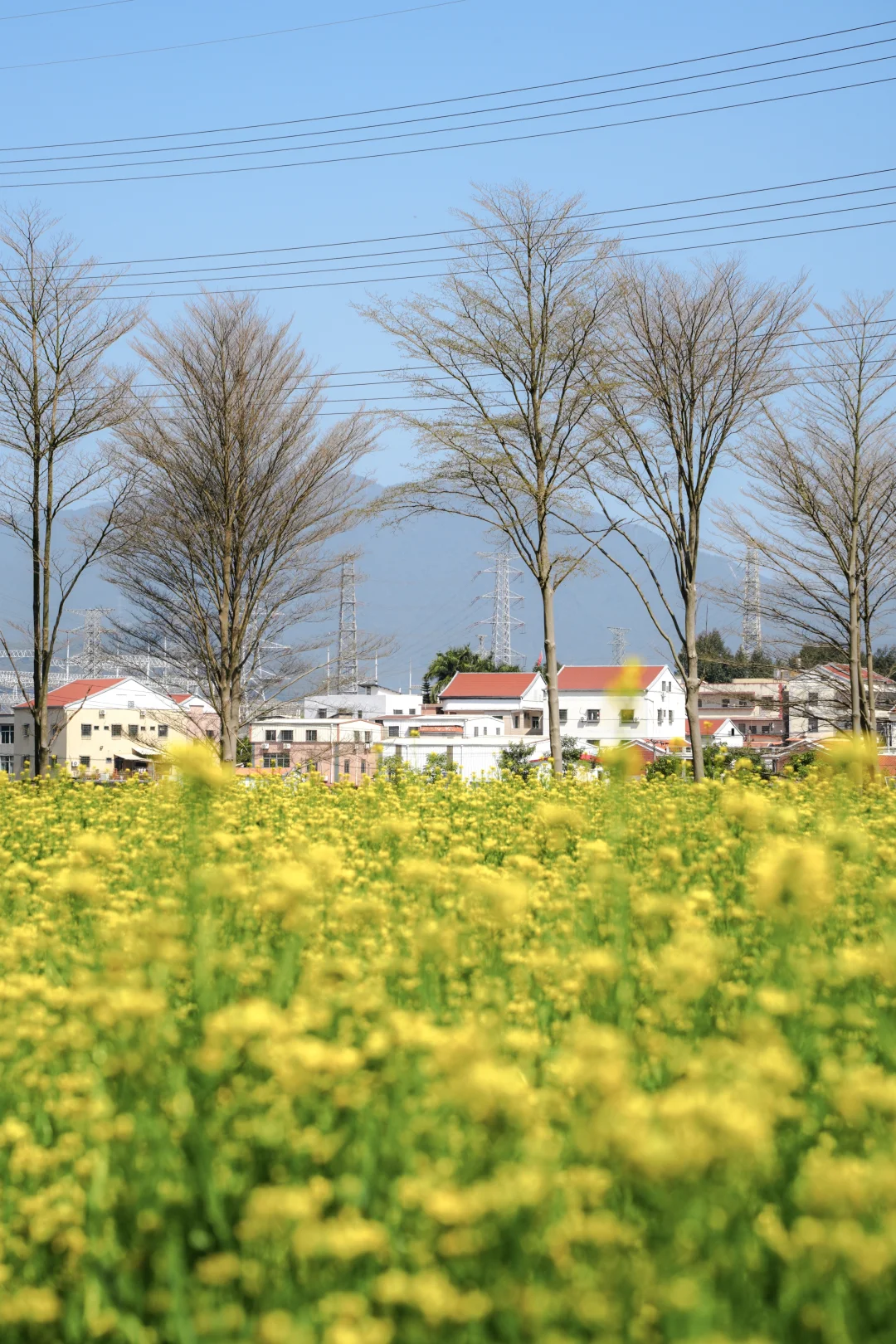 厦门适合一个人无聊闲逛的地方（54/100）