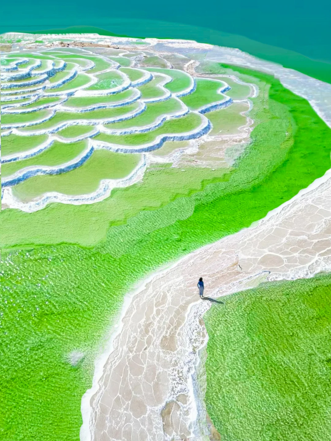 朋友圈问疯了，都以为我出国了❗️