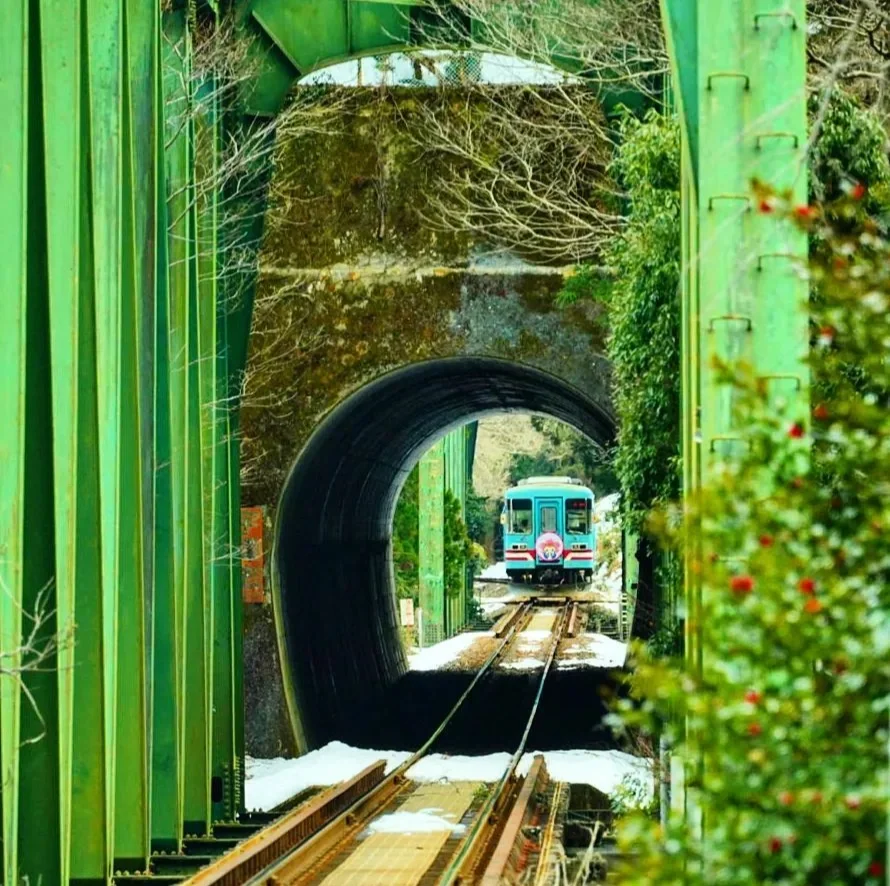 日本岐阜县|穿过隧道，是春天里最美的樱花