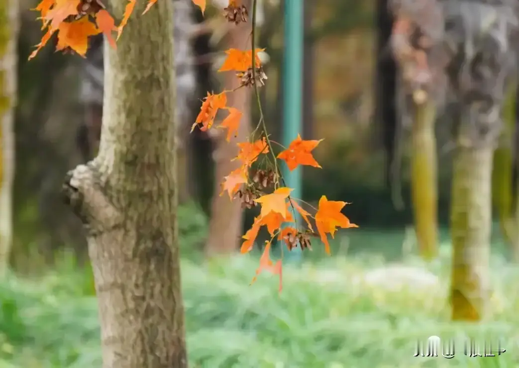 婚姻不和谐的原因有很多。 有因为各自的原生家庭，产生矛盾。 有因为教育...