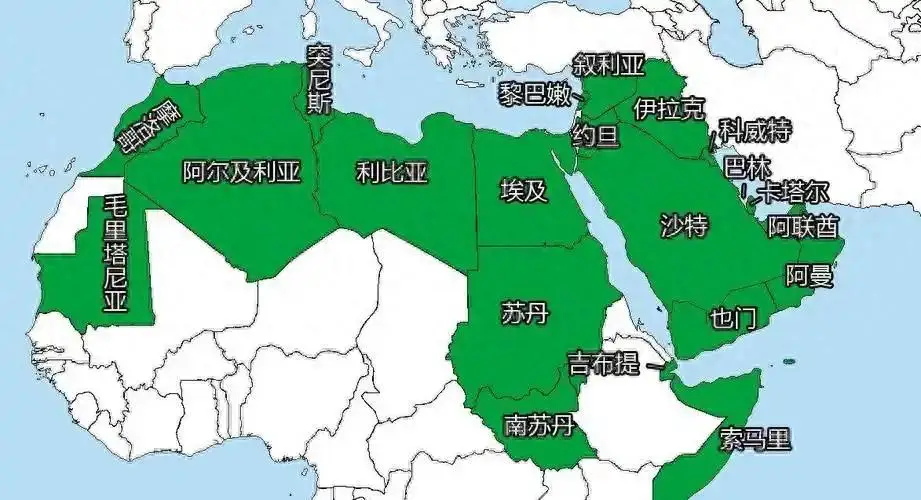 以色列在中东四面树敌，阿拉伯国家却集体看戏，这盘大棋谁看懂了？他们不参战，不仅是怕美国体系，更是怕伊朗做大！与其跟美以死磕，不如让抵抗武装互咬，自己坐收渔翁之利。算盘多精！
 
2026年，以色列的军事行动还在持续，加沙、约旦河西岸、胡塞武装，一条线打下来，中东烽烟滚滚。阿拉伯世界骂声震天，谴责声明