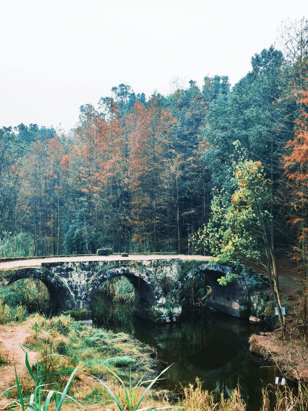 渝北霍比特‼️8km路线终于有人说清楚了