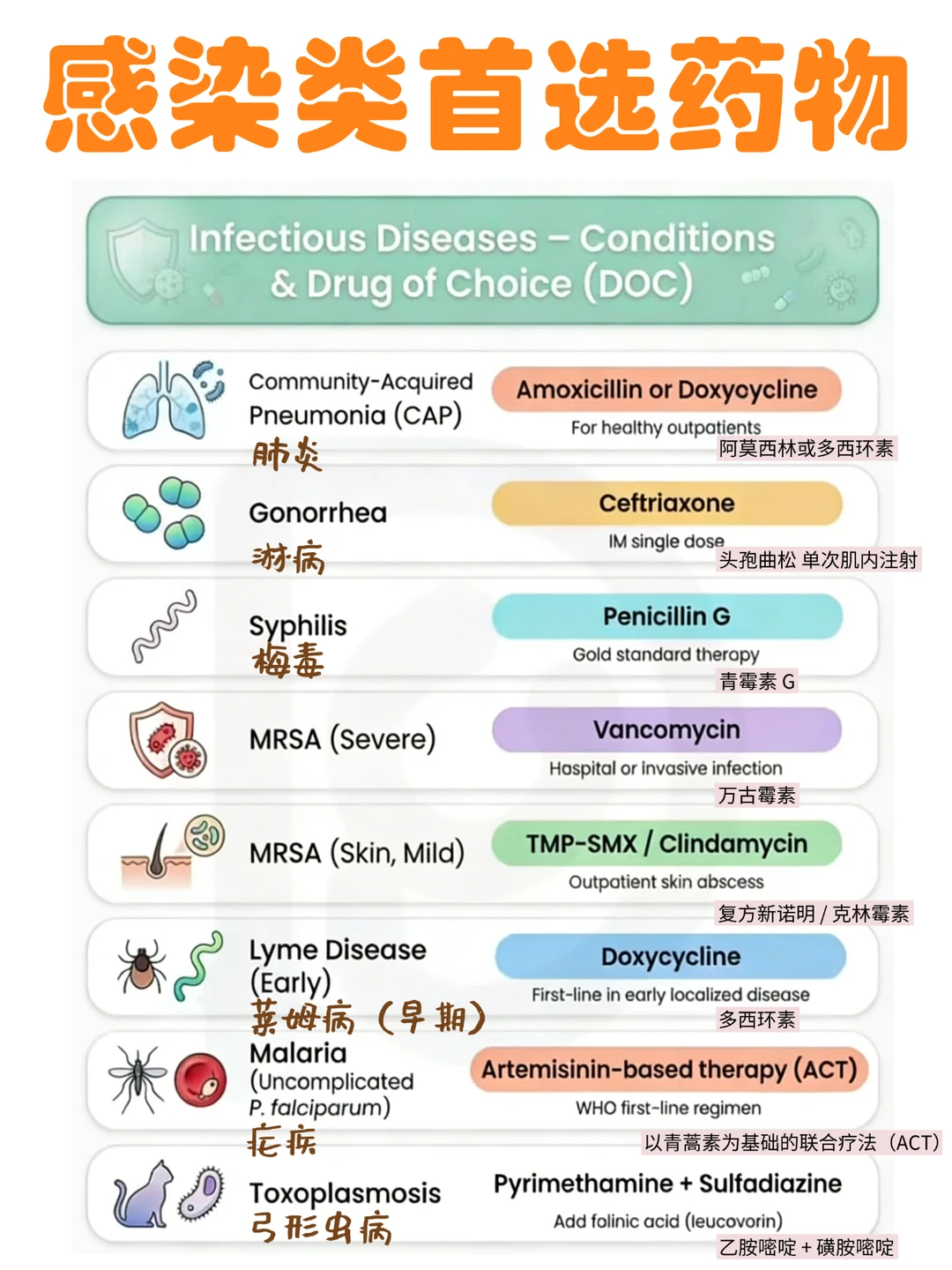 备考RN/感染类药物首选！！学！！单词