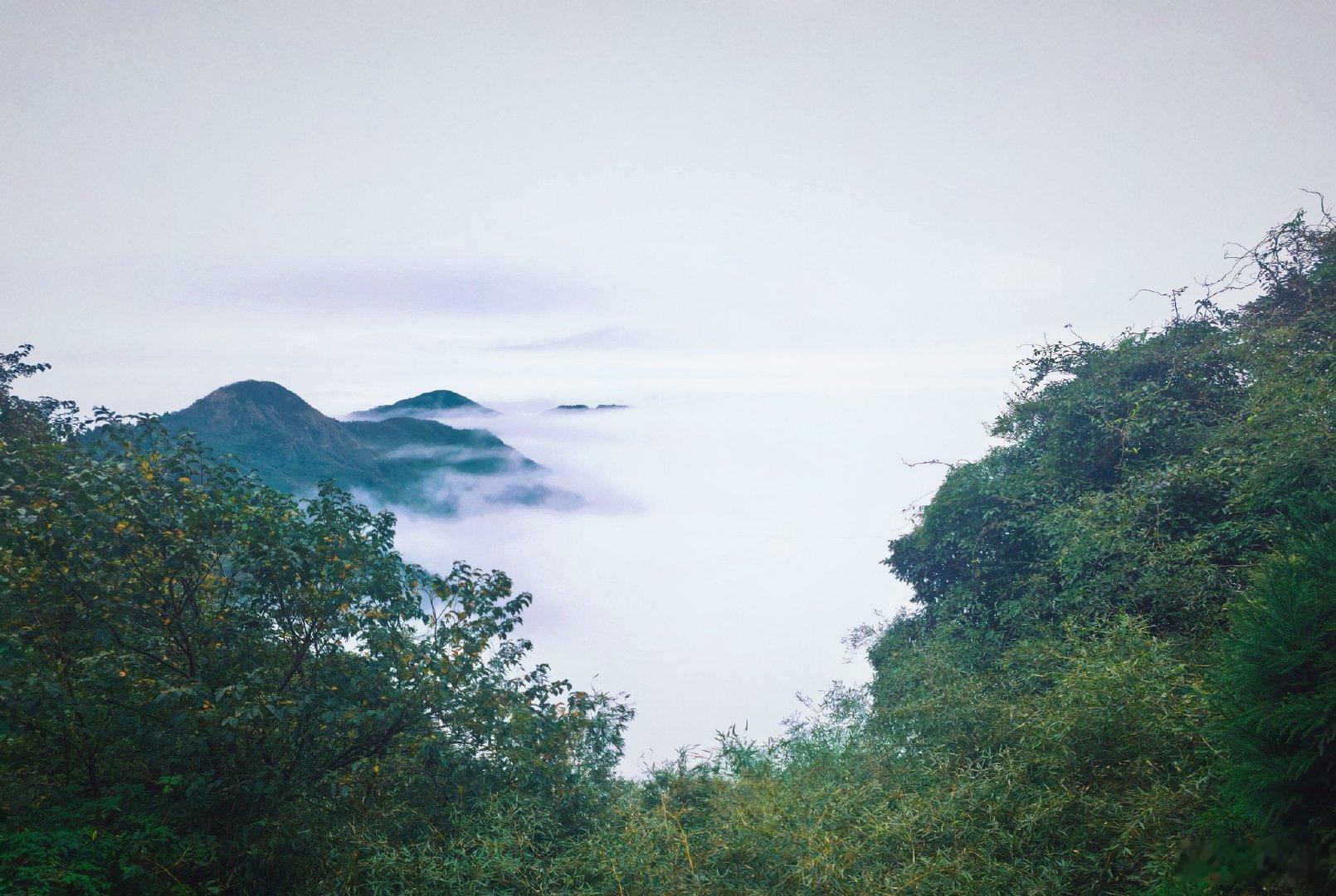 观衡山，想见莫大“百变千幻衡山云雾十三式”风采。“欲见不见轻烟里”。真到祝融峰，觉得韩昌黎下笔还是太轻了。 ​