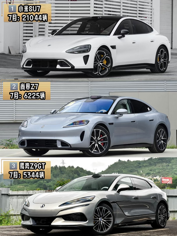 新能源中大型轿车7月成绩如何？