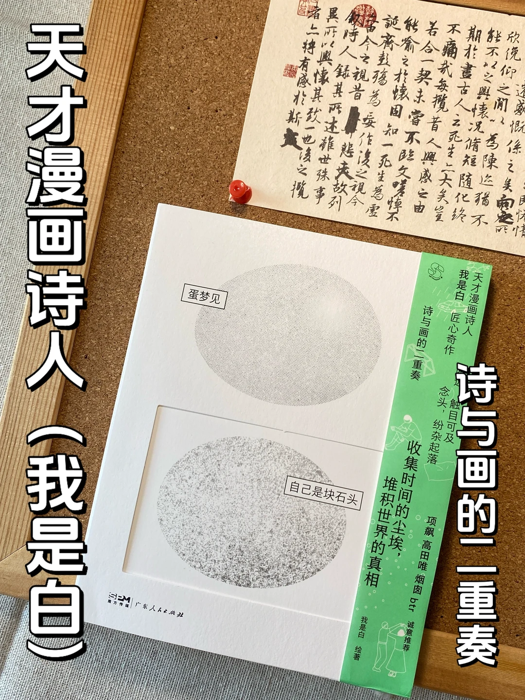 这本漫画诗集..让我找回对生活的感知🪟