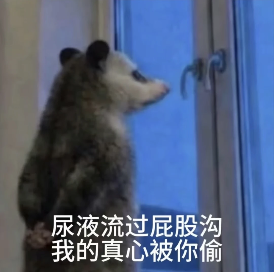 首页突然被负鼠占领，这到底是啥