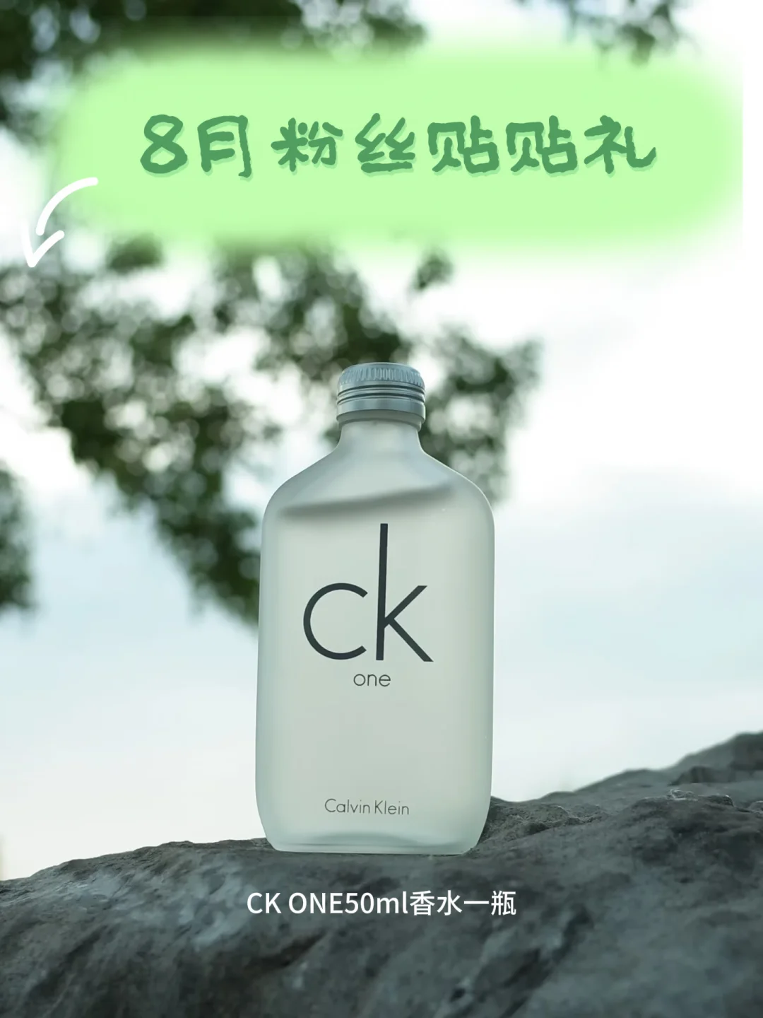 8月贴贴榜✨电子闺蜜们快点看过来～