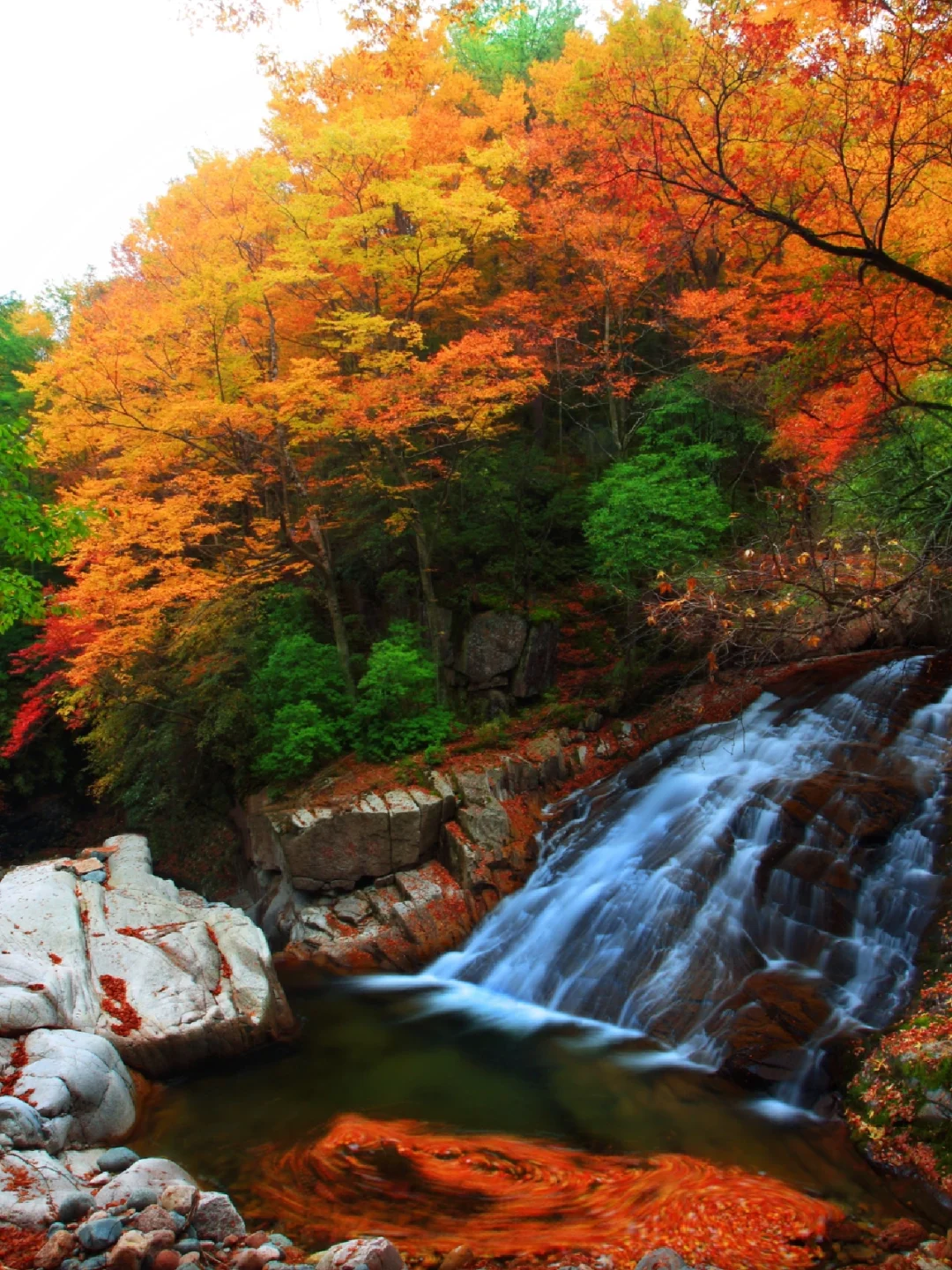 为了这秋色，明年我一定还来！！！