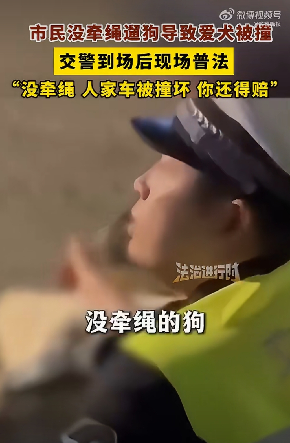 江苏发生了一起关于宠物狗上路引发的交通事故，交警在现场的处理方式引发了大家的广泛关注。
事情的起因是一名市民在外出遛狗时，没有给狗狗拴牵引绳。由于失去了主人的控制，狗狗突然跑到了马路上，不幸被一辆正常行驶的车辆撞倒，最终当场死亡。看到爱犬发生意外，狗主人情绪十分激动，随即要求肇事车辆的司机对狗狗的死