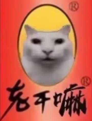 好搞笑的表情包